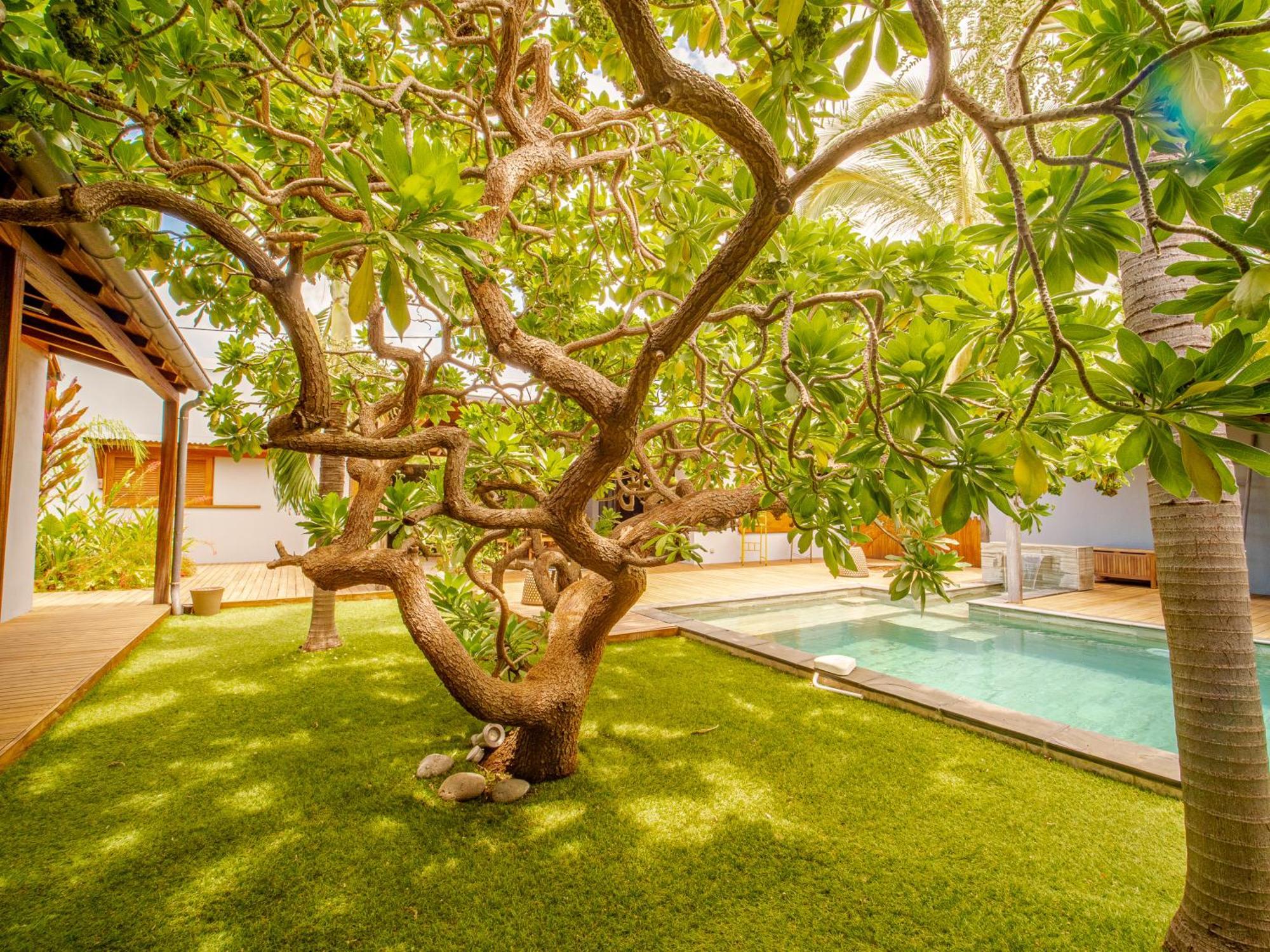 La Kaz Veloutier - Villa 4 Chambres Avec Piscine La Saline Le Bains Dış mekan fotoğraf