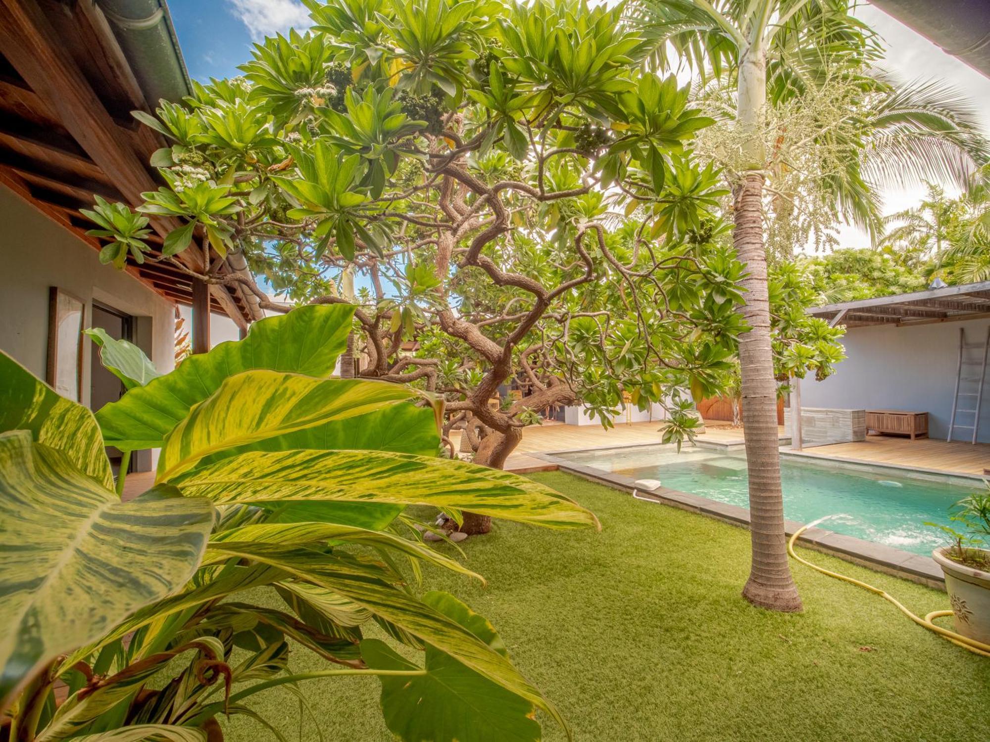 La Kaz Veloutier - Villa 4 Chambres Avec Piscine La Saline Le Bains Dış mekan fotoğraf